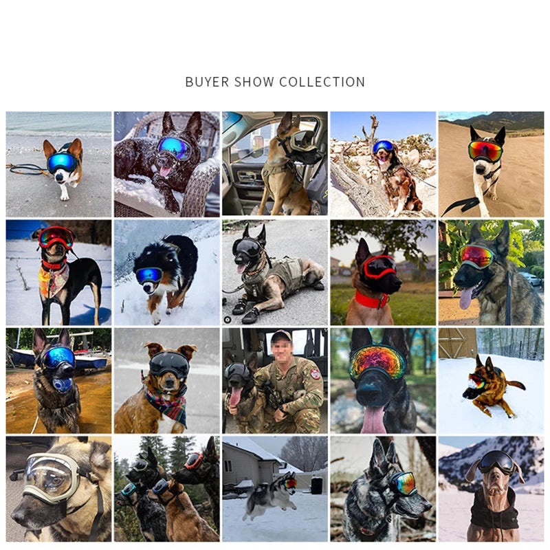 Dog Goggles Anti-UV Sun Glasses Eyewear Protection Adjustable Windproof Pet Dog Supplies For Travel