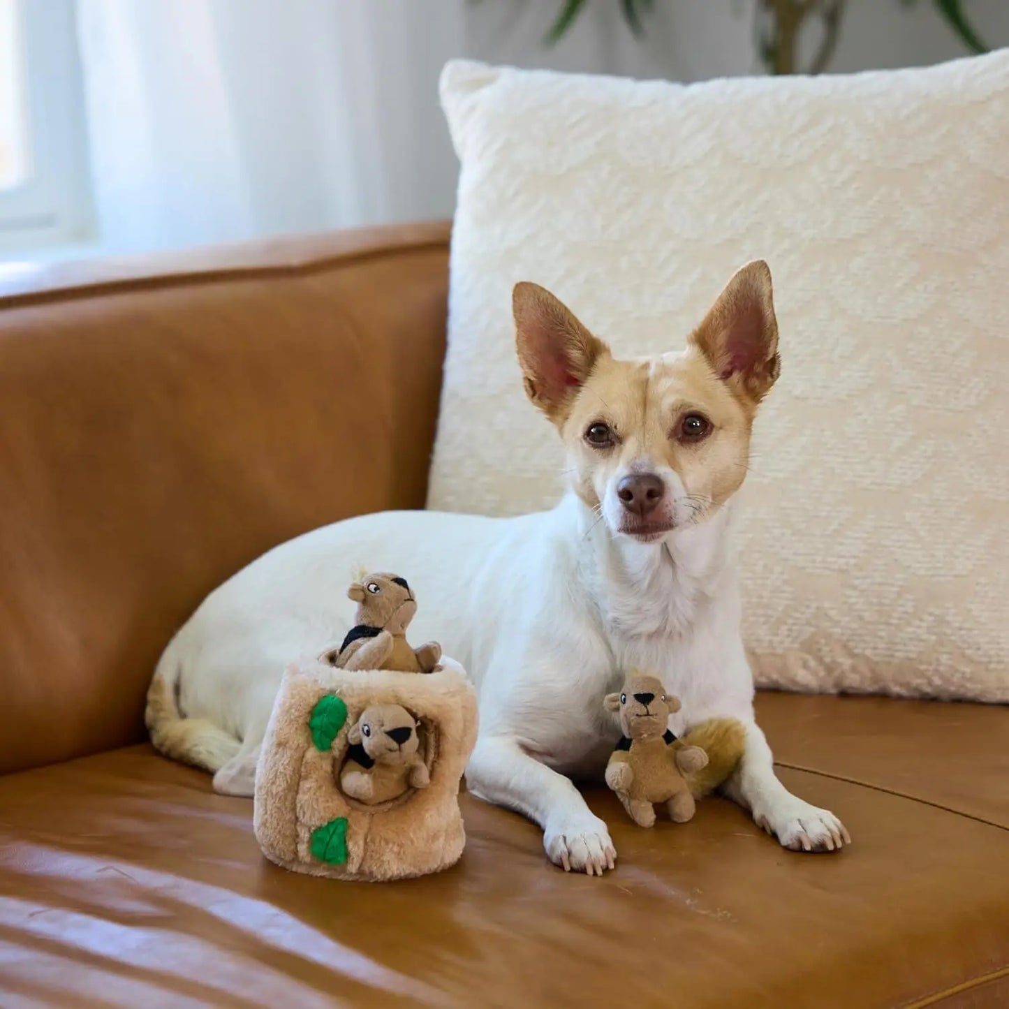 Interactive Plush Dog Toy with 3 Squeaky Removable Squirrels - Small Puzzle for Fun Play