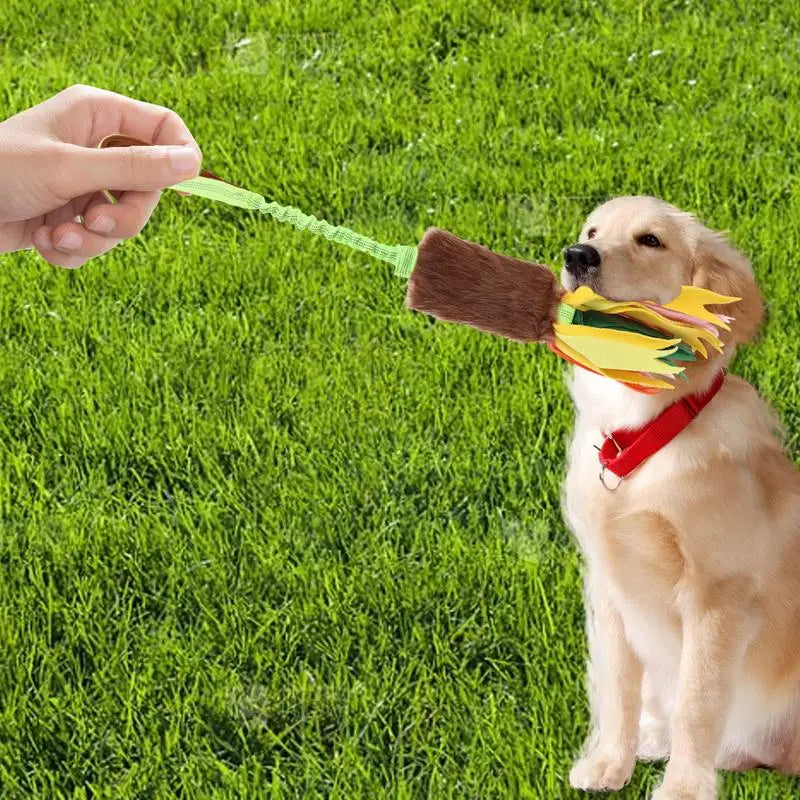 Dog Toy Rope Fun Squeaky Dog Chew Toys Pet Supplies Puppy Rope Toy with Elastic Drawstring Interactive Puppy Teething Toy