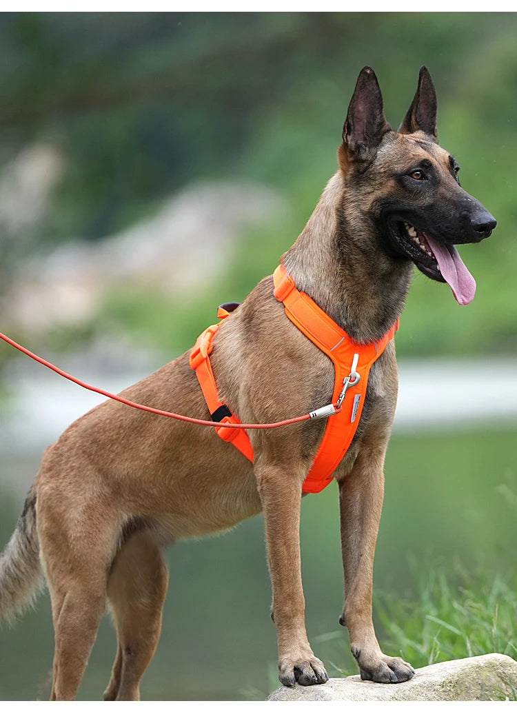 Pet Harness No Pull Reflective Dog Harness for Small Medium Large Dog Vest Adjustable Breathable Outdoor Travel dog accessories