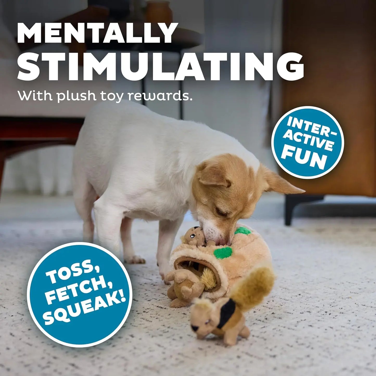 Interactive Plush Dog Toy with 3 Squeaky Removable Squirrels - Small Puzzle for Fun Play