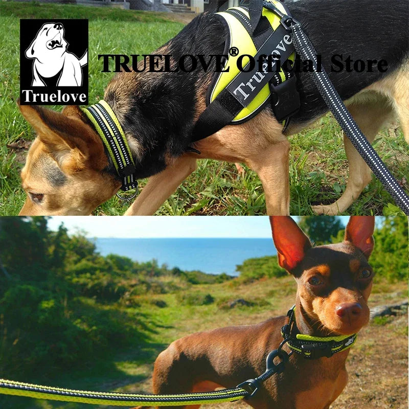Pet Dog Collar Nylon Adjustable Webbing Padded Soft Reflective Durable Heavy Duty Training Custom Luxury Cat TLC5011