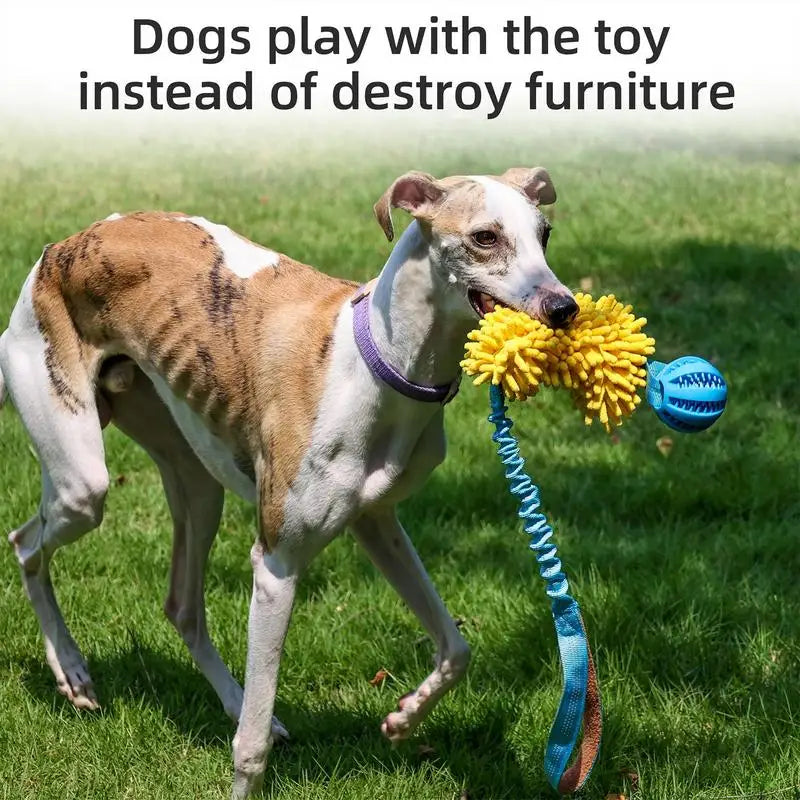 Dog Toy Rope Fun Squeaky Dog Chew Toys Pet Supplies Puppy Rope Toy with Elastic Drawstring Interactive Puppy Teething Toy